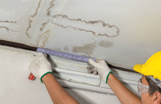 Reliable Mold Remediation contractor in Fairfield, NJ by Water Damage Irwin